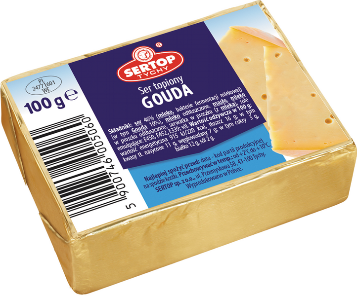SERTOP serek top Gouda100g/10